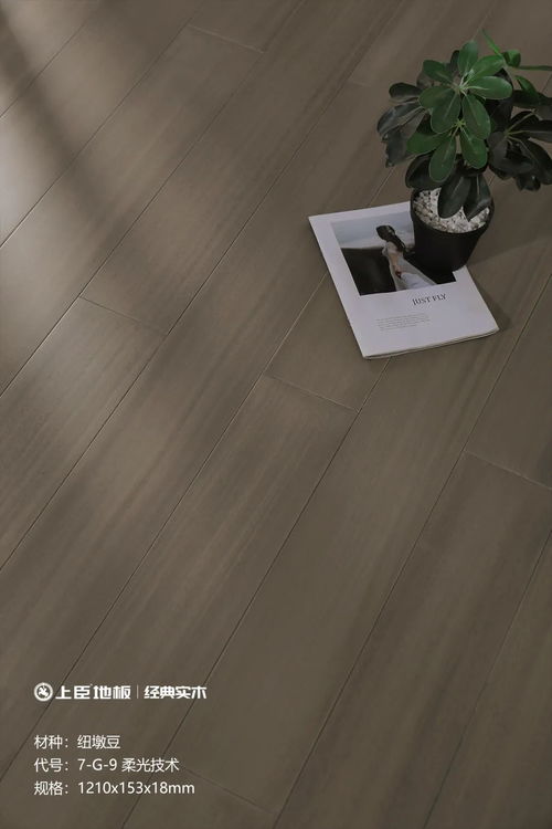 上臣地板榮獲 木業(yè)科技發(fā)明一等獎(jiǎng) ,領(lǐng)航木地板行業(yè)創(chuàng)新之路 地板網(wǎng)