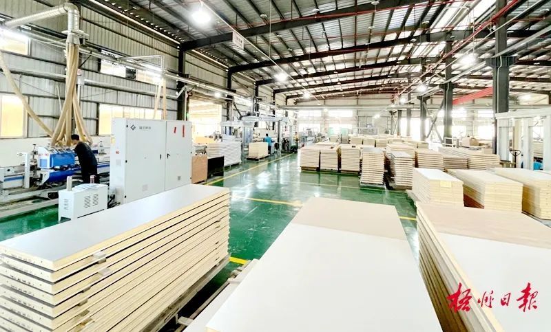 政策加力支持 服務(wù)精準(zhǔn)滴灌|梧州市積極推動外貿(mào)高質(zhì)量發(fā)展