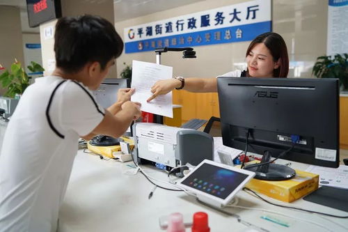 厲害了我的平湖——政務服務改革創新成效顯著，信息咨詢服務再升級